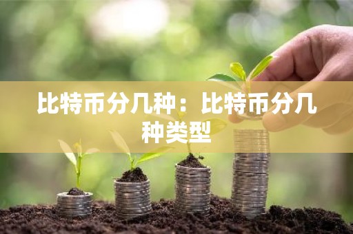 比特币分几种：比特币分几种类型