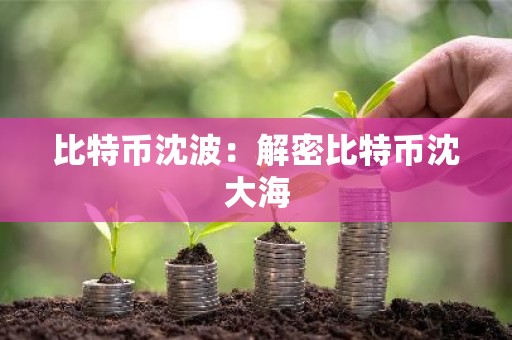 比特币沈波：解密比特币沈大海