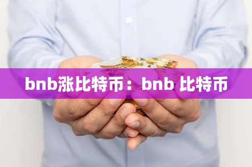 bnb涨比特币：bnb 比特币