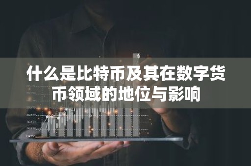 什么是比特币及其在数字货币领域的地位与影响