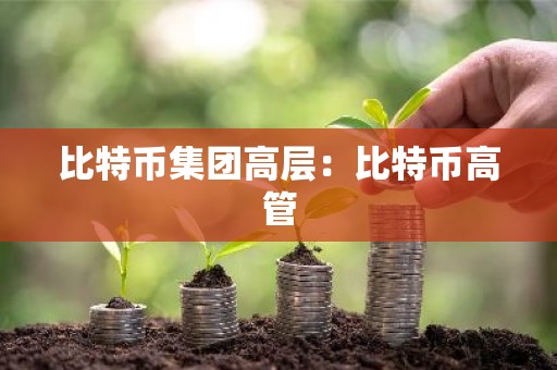 比特币集团高层：比特币高管
