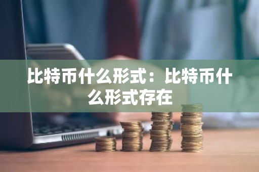 比特币什么形式：比特币什么形式存在