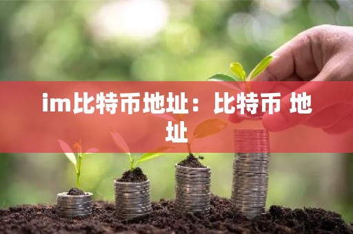 im比特币地址：比特币 地址