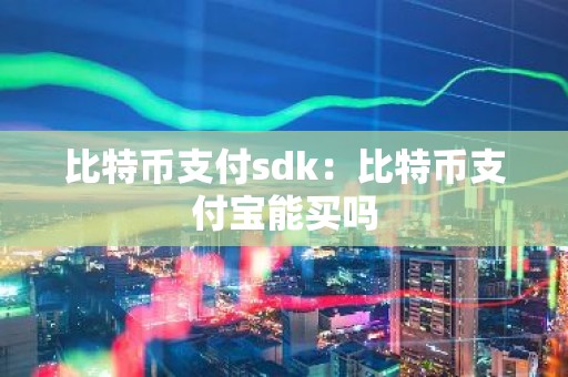 比特币支付sdk：比特币支付宝能买吗