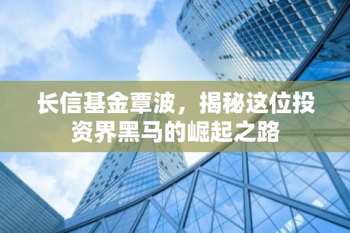 长信基金覃波，揭秘这位投资界黑马的崛起之路