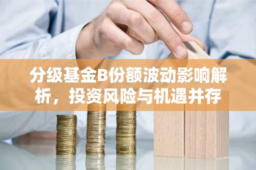 分级基金B份额波动影响解析，投资风险与机遇并存
