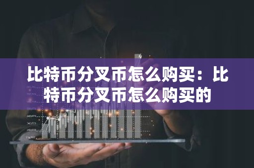 比特币分叉币怎么购买：比特币分叉币怎么购买的