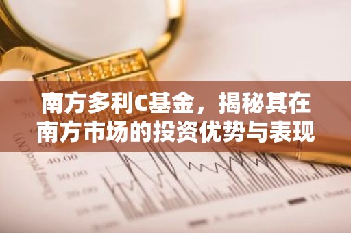 南方多利C基金，揭秘其在南方市场的投资优势与表现