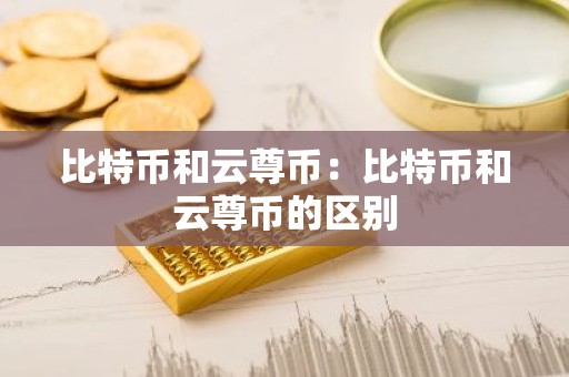 比特币和云尊币：比特币和云尊币的区别