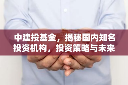 中建投基金，揭秘国内知名投资机构，投资策略与未来发展一览