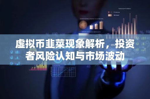 虚拟币韭菜现象解析，投资者风险认知与市场波动