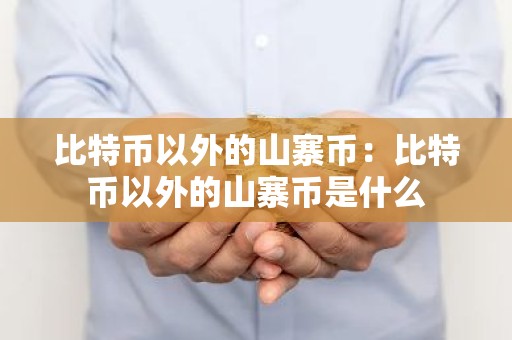 比特币以外的山寨币：比特币以外的山寨币是什么