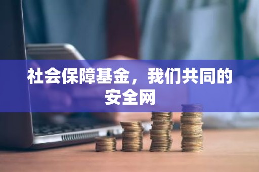 社会保障基金，我们共同的安全网