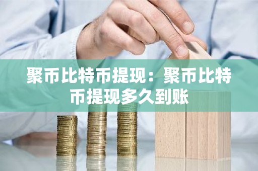 聚币比特币提现：聚币比特币提现多久到账