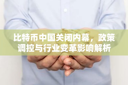 比特币中国关闭内幕，政策调控与行业变革影响解析