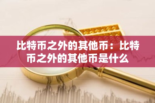 比特币之外的其他币：比特币之外的其他币是什么