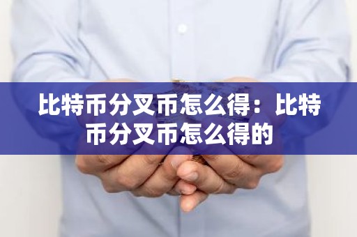 比特币分叉币怎么得：比特币分叉币怎么得的