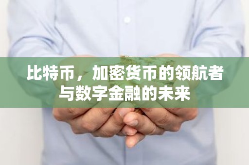 比特币，加密货币的领航者与数字金融的未来