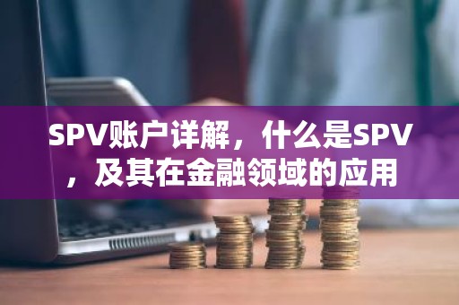 SPV账户详解，什么是SPV，及其在金融领域的应用