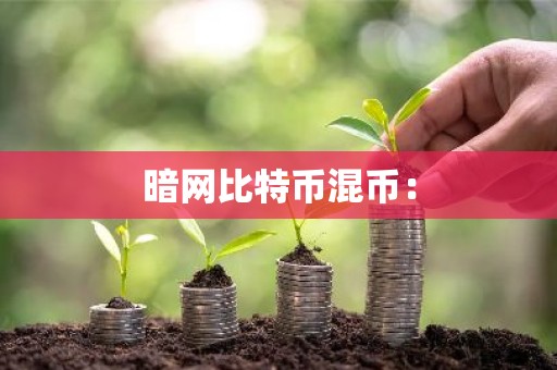 暗网比特币混币：