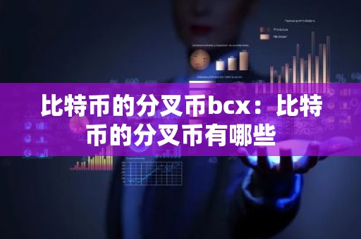 比特币的分叉币bcx：比特币的分叉币有哪些