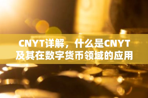 CNYT详解，什么是CNYT及其在数字货币领域的应用
