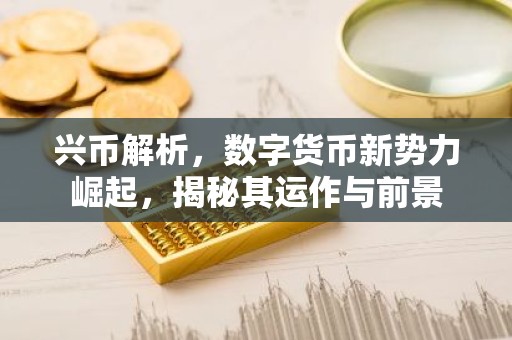 兴币解析，数字货币新势力崛起，揭秘其运作与前景