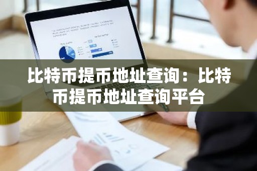 比特币提币地址查询：比特币提币地址查询平台