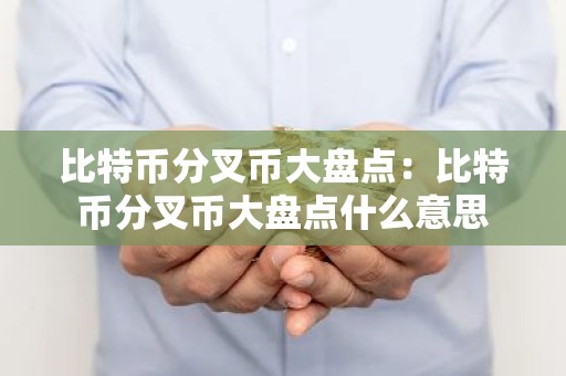 比特币分叉币大盘点：比特币分叉币大盘点什么意思
