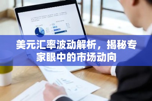 美元汇率波动解析，揭秘专家眼中的市场动向