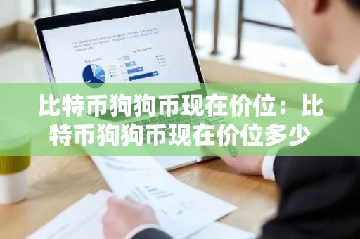 比特币狗狗币现在价位：比特币狗狗币现在价位多少