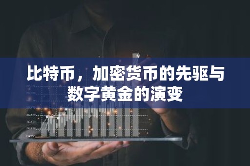 比特币，加密货币的先驱与数字黄金的演变
