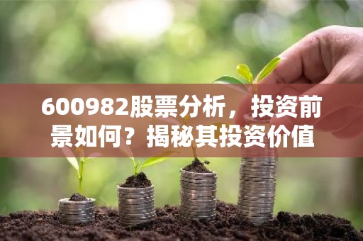 600982股票分析，投资前景如何？揭秘其投资价值
