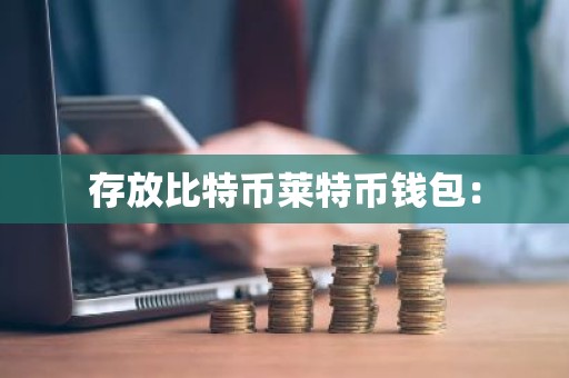 存放比特币莱特币钱包：