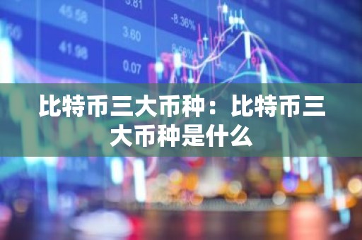 比特币三大币种：比特币三大币种是什么