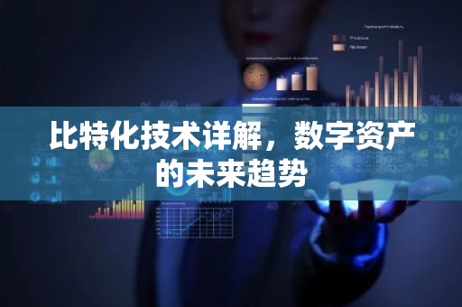 比特化技术详解，数字资产的未来趋势