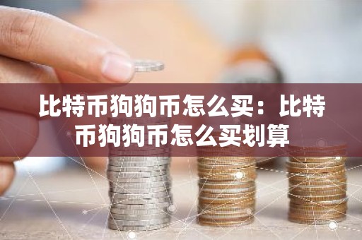 比特币狗狗币怎么买：比特币狗狗币怎么买划算