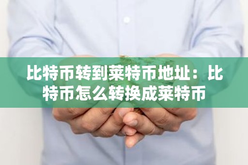 比特币转到莱特币地址：比特币怎么转换成莱特币