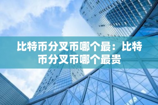 比特币分叉币哪个最：比特币分叉币哪个最贵