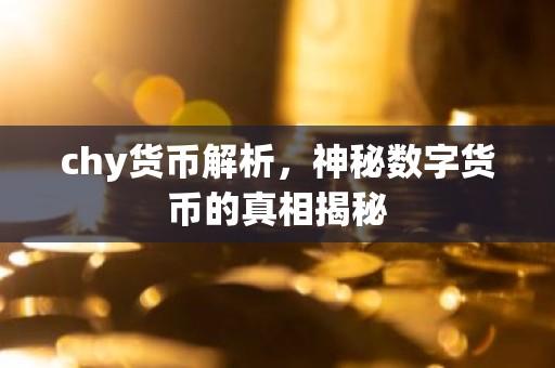 chy货币解析，神秘数字货币的真相揭秘
