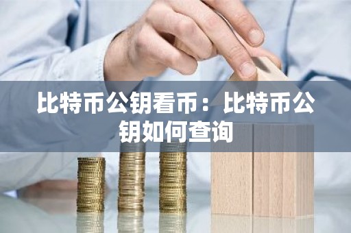 比特币公钥看币：比特币公钥如何查询