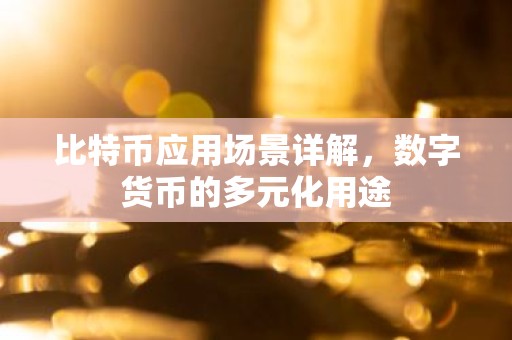 比特币应用场景详解，数字货币的多元化用途