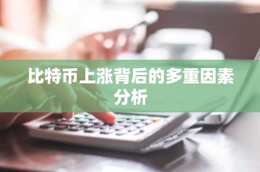 比特币上涨背后的多重因素分析