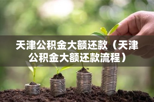 天津公积金大额还款（天津公积金大额还款流程）
