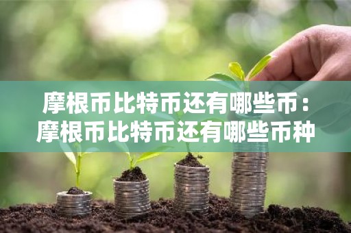 摩根币比特币还有哪些币：摩根币比特币还有哪些币种