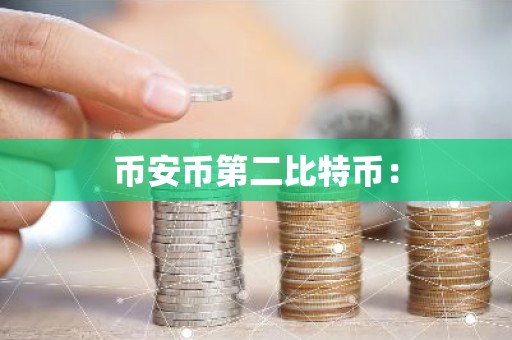 币安币第二比特币：