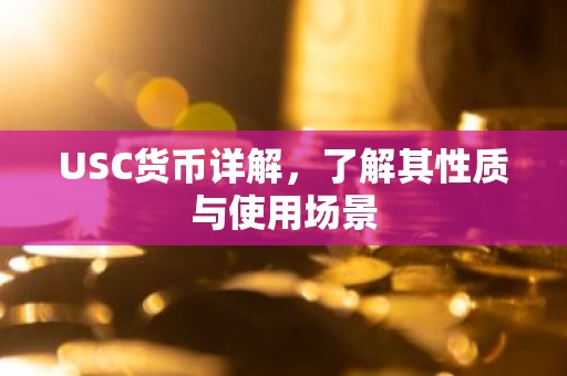 USC货币详解，了解其性质与使用场景