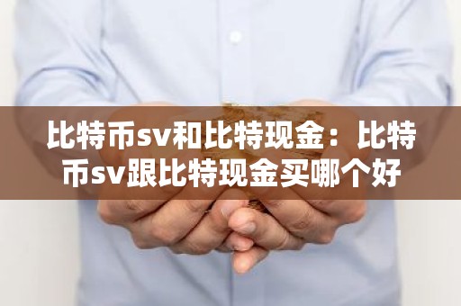 比特币sv和比特现金：比特币sv跟比特现金买哪个好