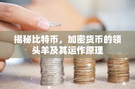 揭秘比特币，加密货币的领头羊及其运作原理
