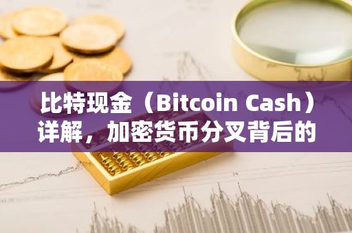比特现金（Bitcoin Cash）详解，加密货币分叉背后的故事
